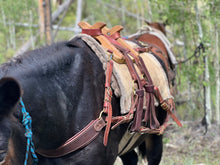 Load image into Gallery viewer, Sawbuck Pack Saddle