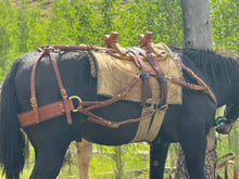 Load image into Gallery viewer, Sawbuck Pack Saddle