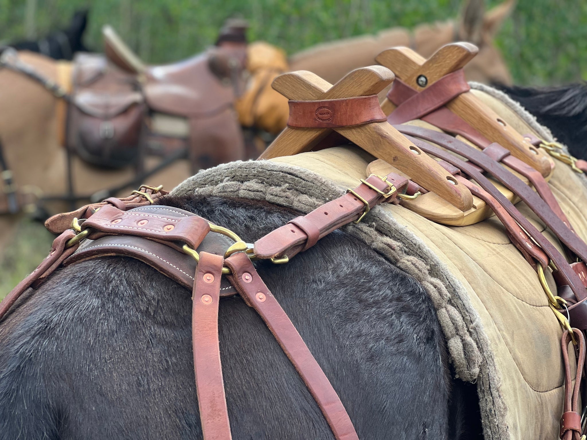 Pack Horse Saddle Shop New Pack Saddles Saddle Up Western Saddle